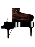 C6X (Polished Ebony), зображення 3